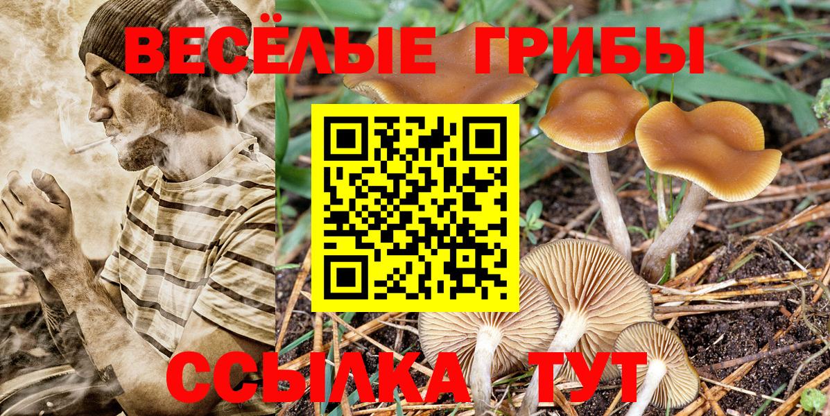 Галлюциногенные грибы MAGIC MUSHROOMS  Галлюциногенные грибы мухоморы  Вход с VPN  Лениногорск 