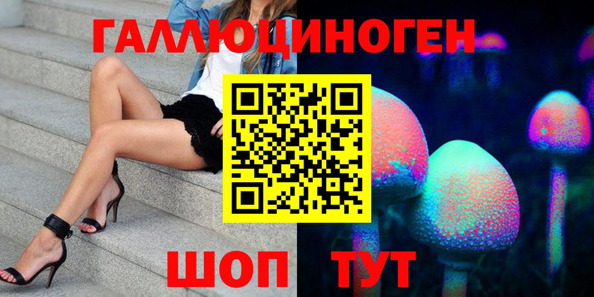 Галлюциногенные грибы Psilocybe Лениногорск